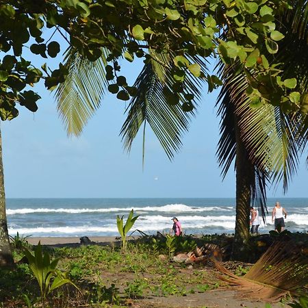 Hotel Pura Natura Beachfront Tortuguero Exterior photo